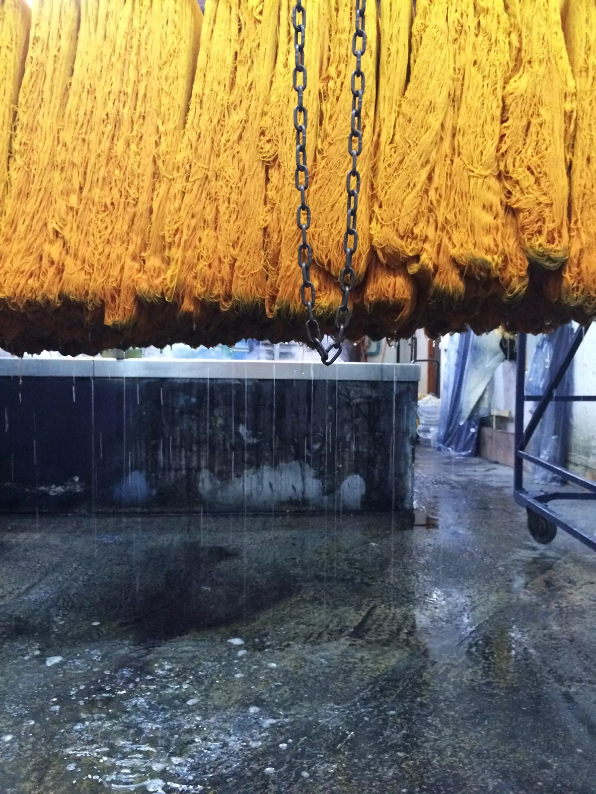 A DYEING DAY AT TEIXITS VICENS